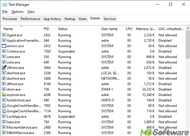 Details tab in Task Manager on Windows