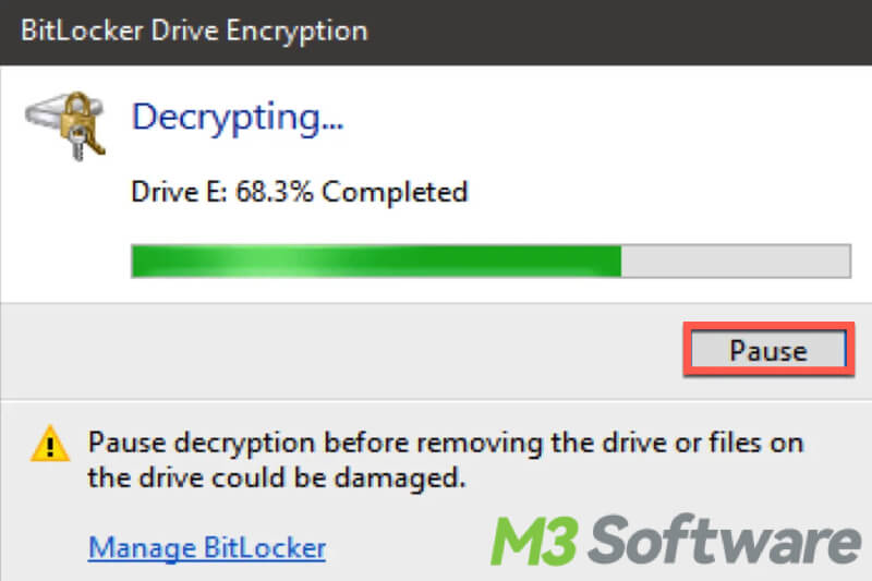 pause BitLocker decryption