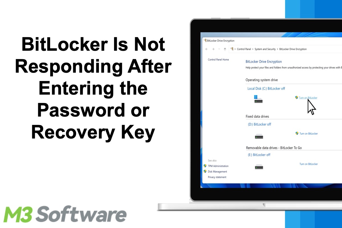 bitlocker not responding after entering password