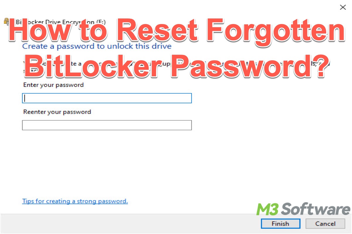 reset forgotten BitLocker password