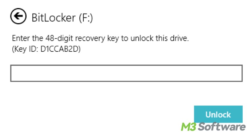 unlock BitLocker encrypted drive enter BitLocker recovery key