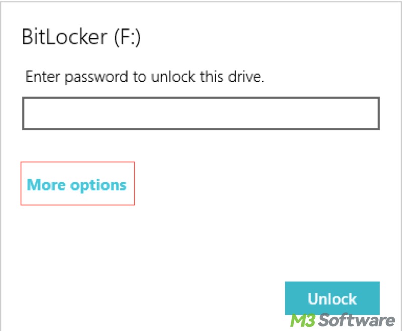 unlock BitLocker encrypted drive more options