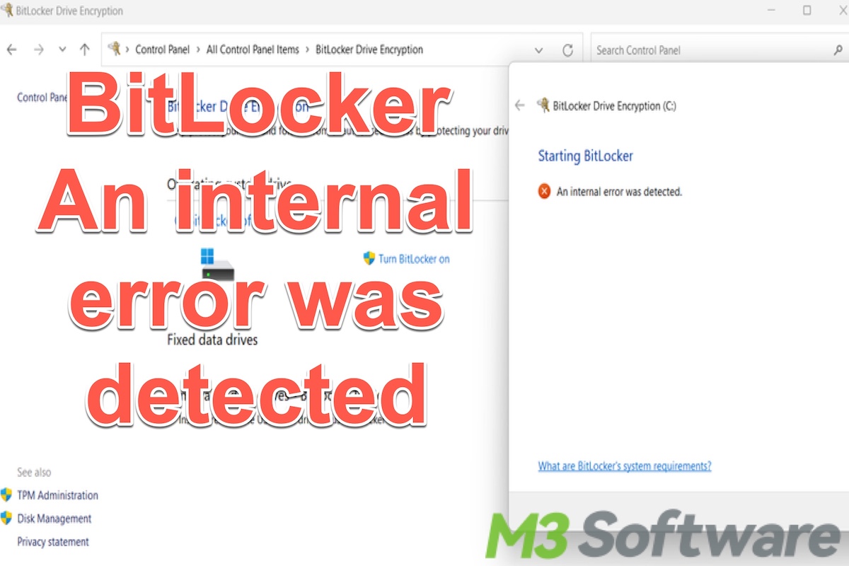 BitLocker An internal error was detected