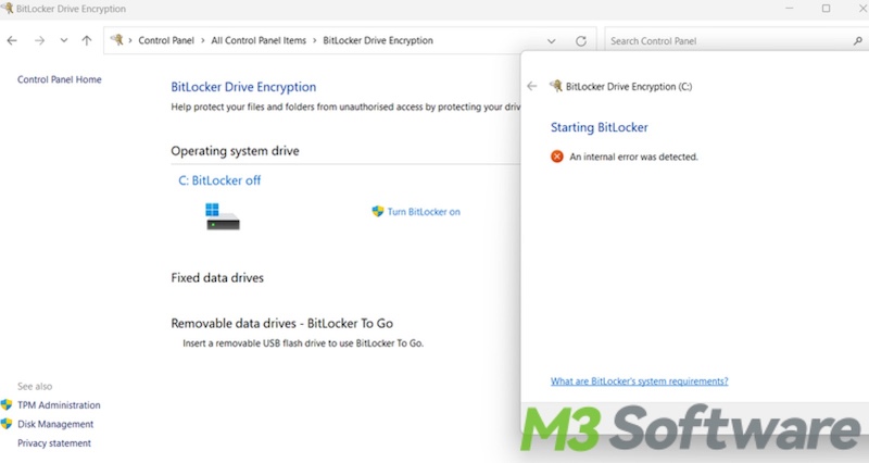 Starting BitLocker An internal error was detected