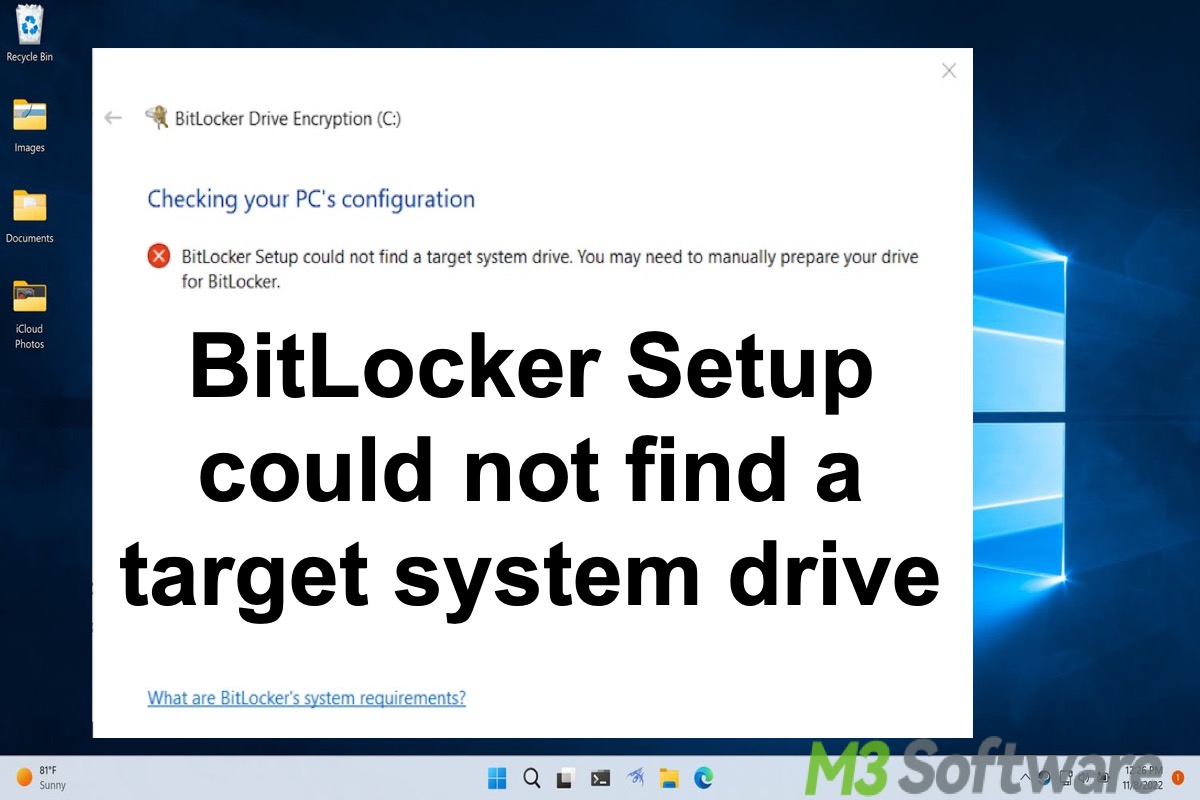 BitLocker Setup could not find a target system drive