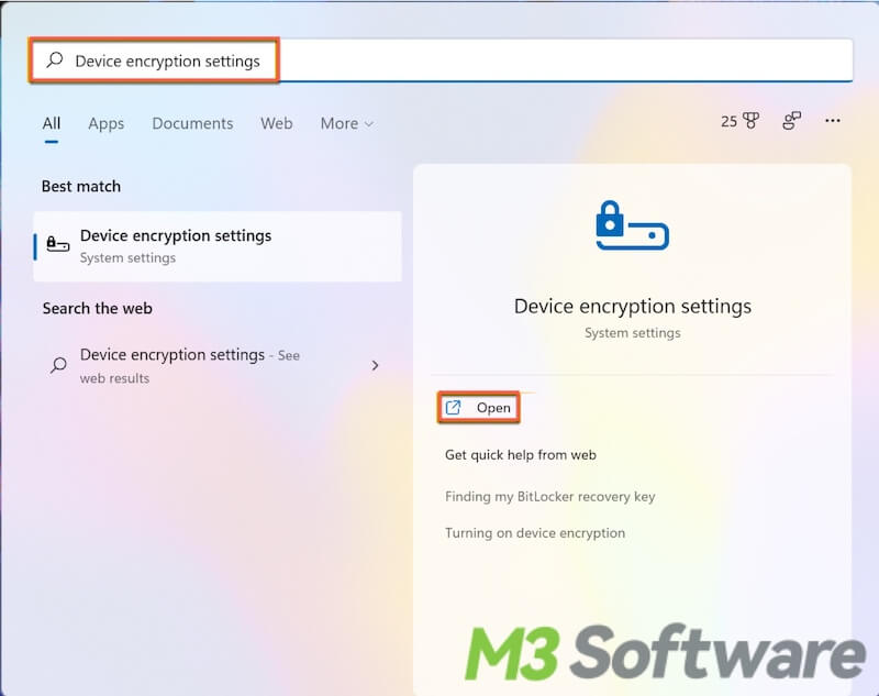 search for device encryption settings in Windows 11