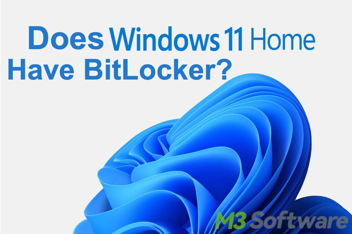 does Windows 11 Home have BitLocker