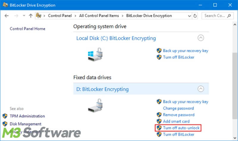 turn off BitLocker auto lock in Control Panel