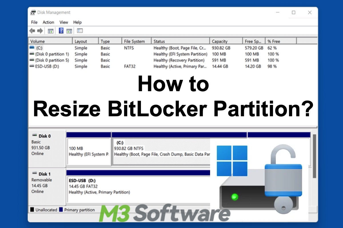 resize BitLocker partition