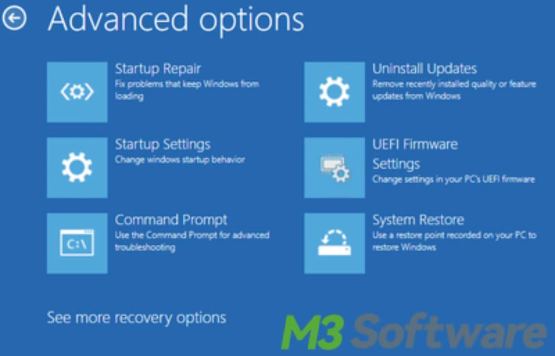 advanced options recovery partition