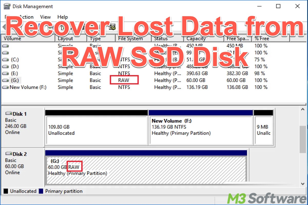 recover lost data from RAW SSD disk