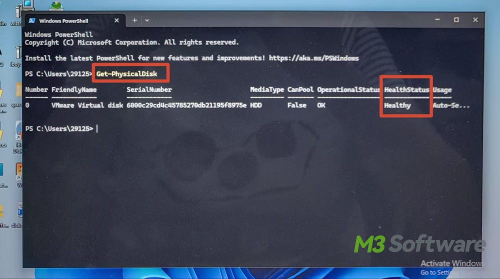 Run Get PhysicalDisk command