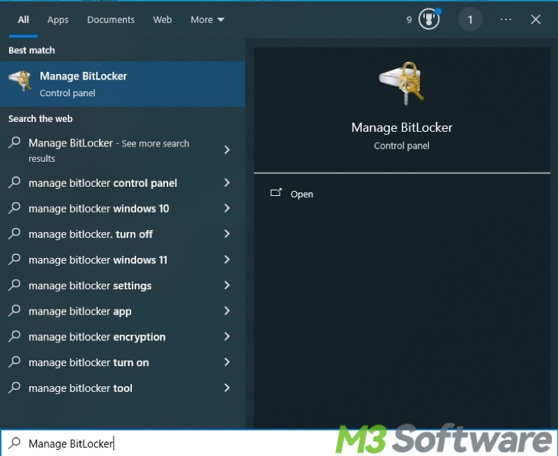 manage BitLocker in Windows search bar