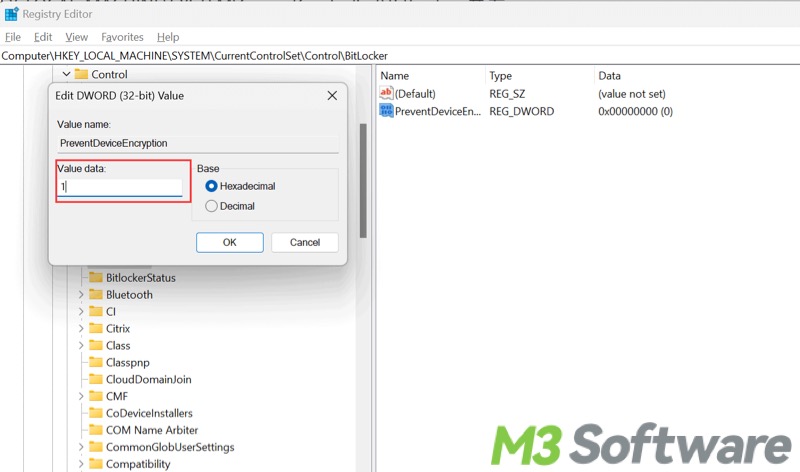 prevent device encryption via Registry Editor