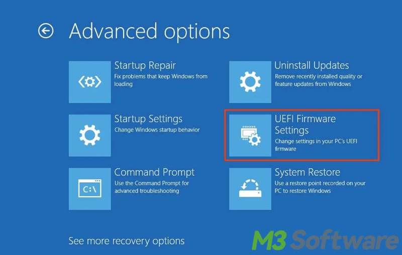 UEFI settings in advanced startup options