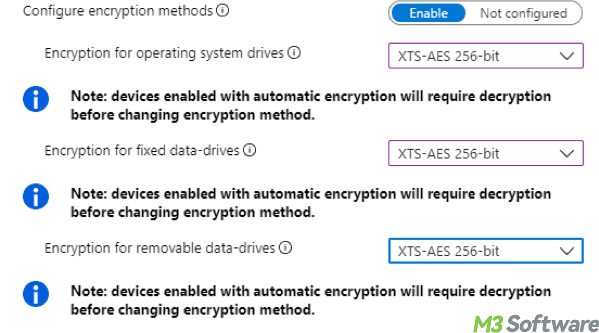 AES of BitLocker encryption level