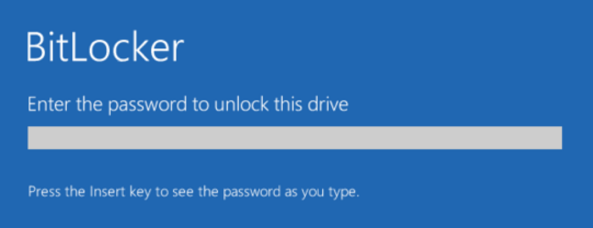 Summary of BitLocker Password