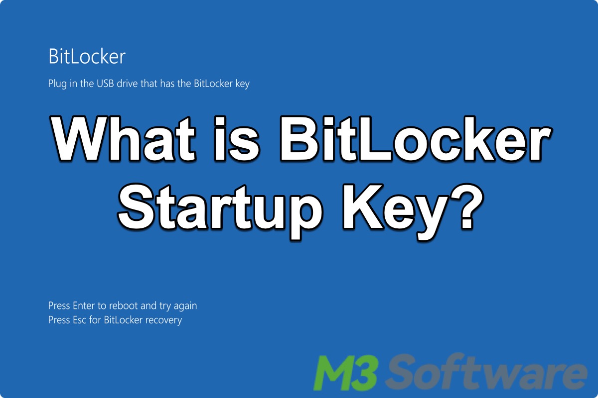 BitLocker startup key