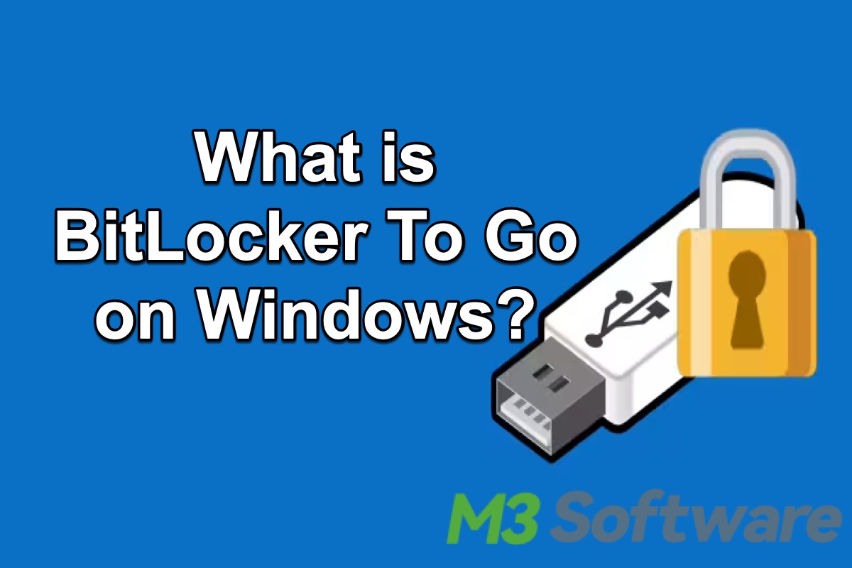 what is BitLocker To Go