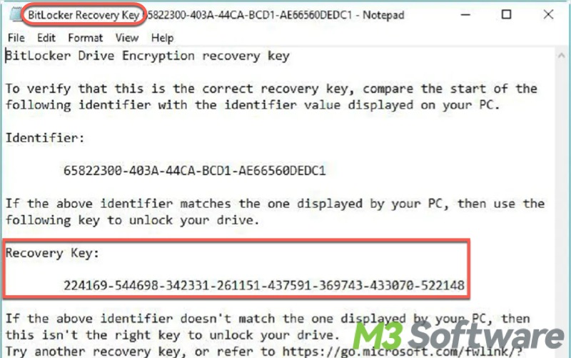 BitLocker recovery key txt file