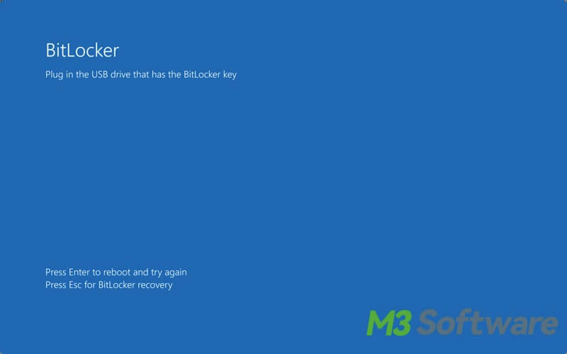 BitLocker preboot screen startup key