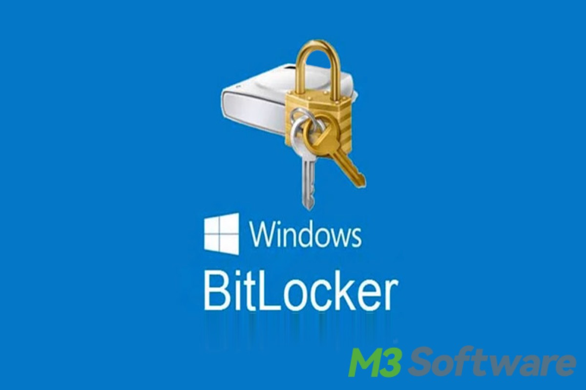 what is Windows BitLocker