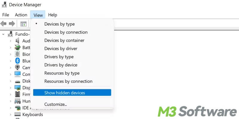 show hidden devices in Windows Device Manager