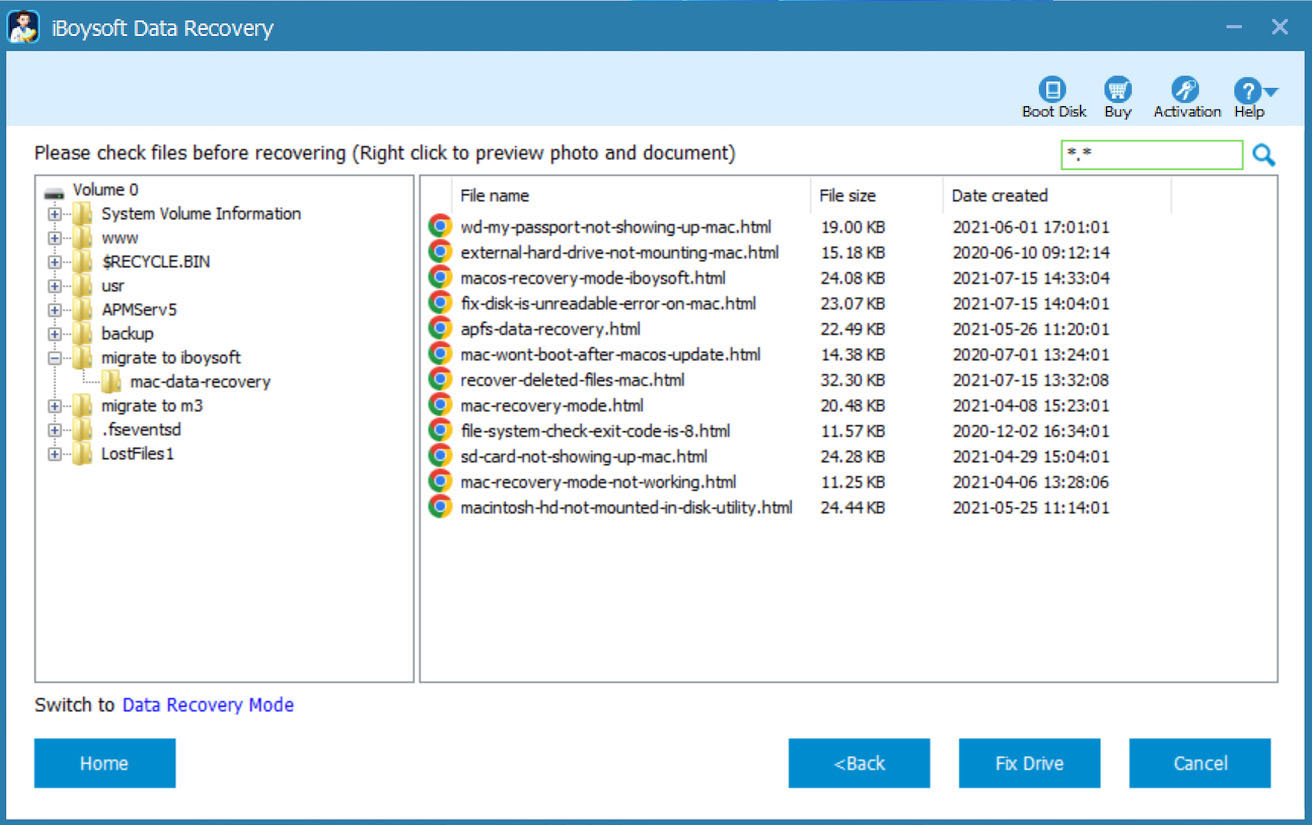 File preview of iBoysoft Data Recovery