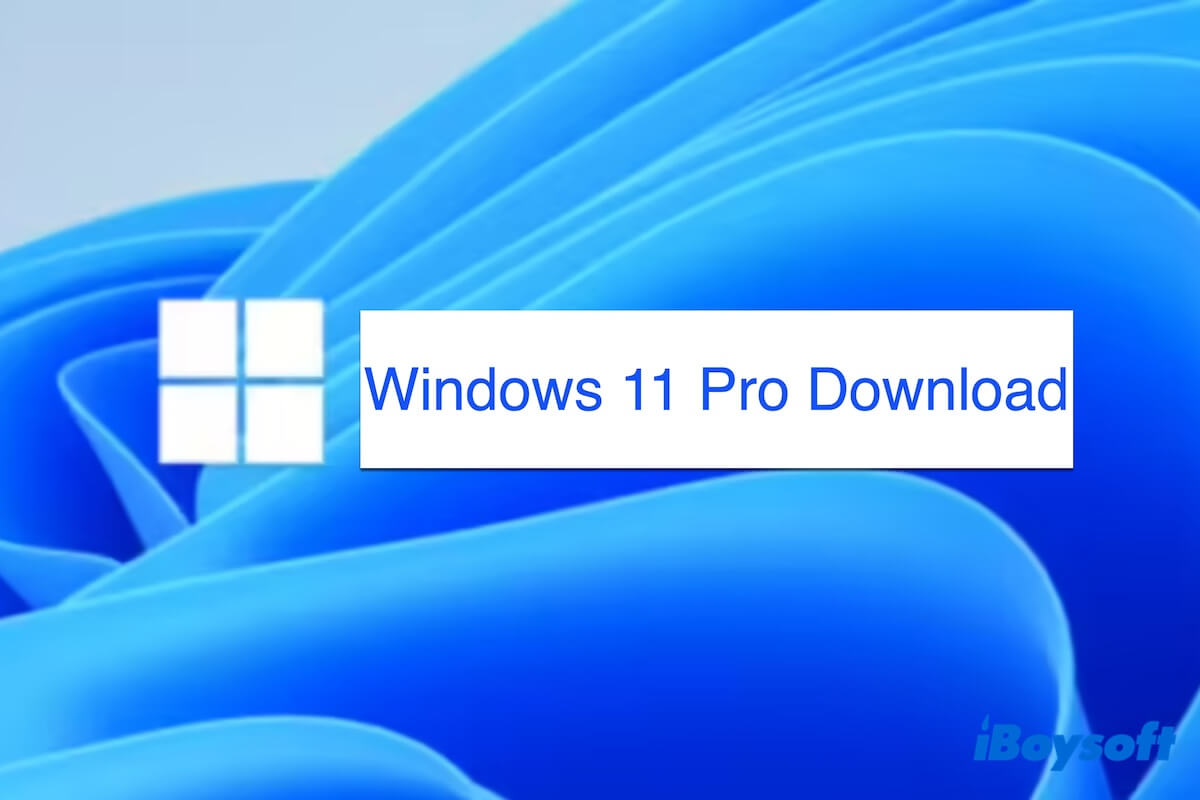 Windows 11 Pro download